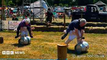 People compete in sheep races because of heatwave