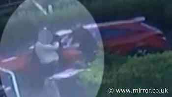 Dramatic moment Ann Widdecombe murder suspect arrested 300 miles away from ex-MP's home