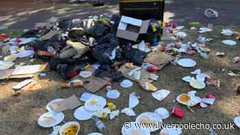 'Disrespect' - Growing anger as Liverpool's green spaces 'trashed' after hot weather