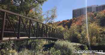 New trail opens in midtown Toronto ravine