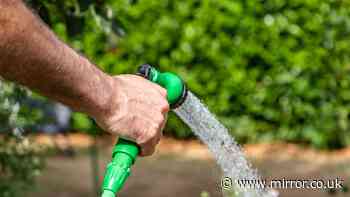 South West Water announces hosepipe ban for parts of Devon as heatwave continues