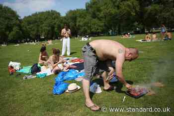 London’s last barbecue-friendly parks announce bans amid 'extreme' wildfire threat