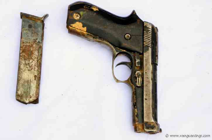 Police arrest suspect with firearm, suspected cannabis in Kano