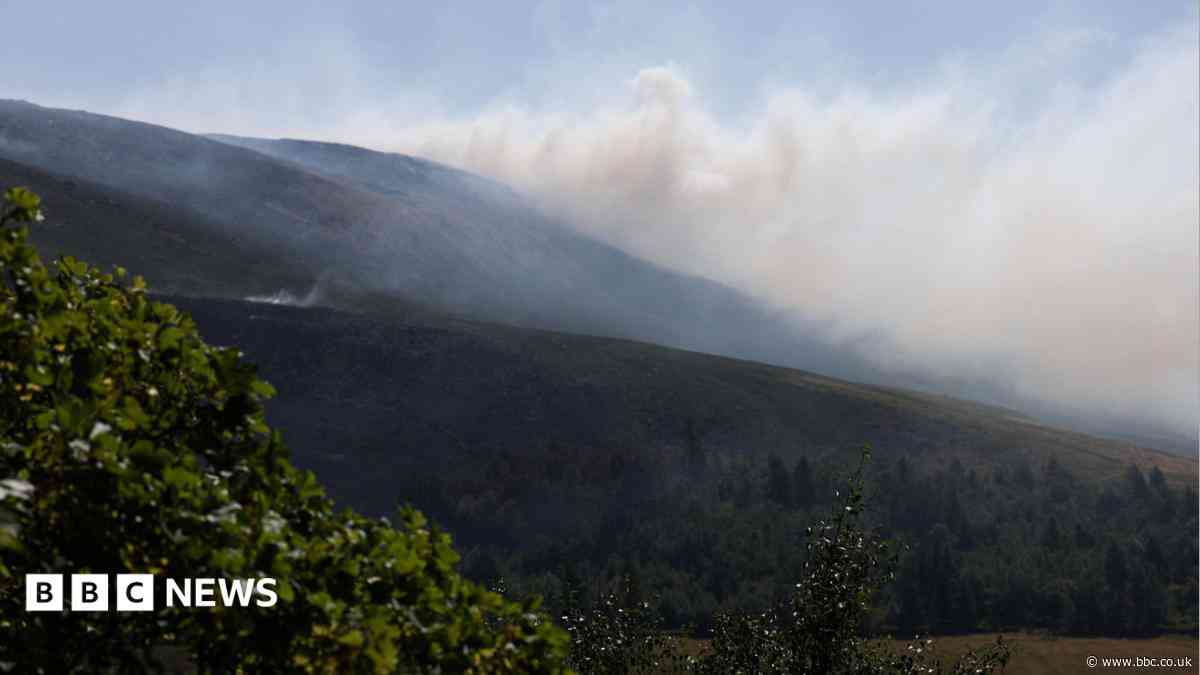 Woman held on suspicion of arson over moorland fire