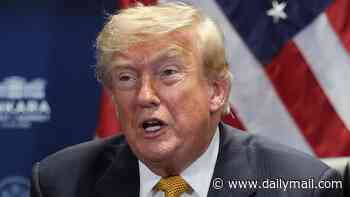 Obama judge guts Trump's $1.8 BILLION 'slush fund' ... then drops the hammer on his lawyers with scathing 'corruption' claim