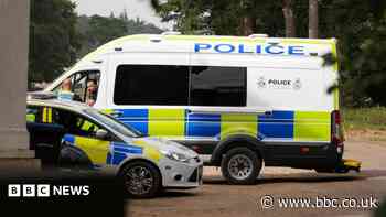 Twelve arrested over alleged right-wing terror threat to Islamic event