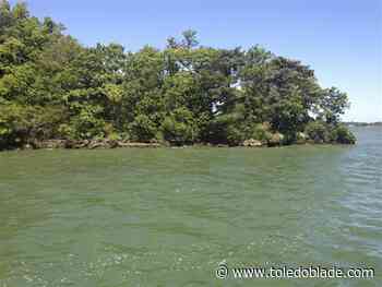 Algal bloom is forming now, but slowly