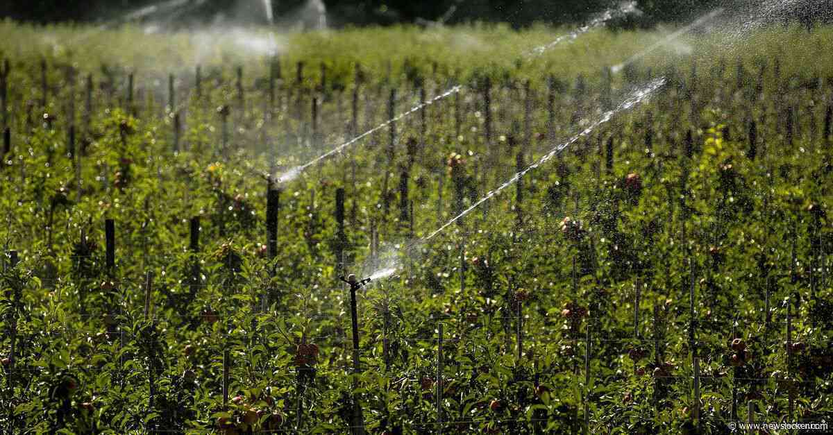 Waterschap in Brabant legt watergebruik aan banden vanwege droogte: &amp;#8216;Grenzen bereikt&amp;#8217;