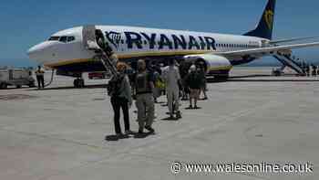 Ryanair flight makes emergency diversion as passengers 'thought they were going to die'