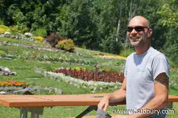 City’s master gardener brings sweat, science and scenery to Sudbury gardens
