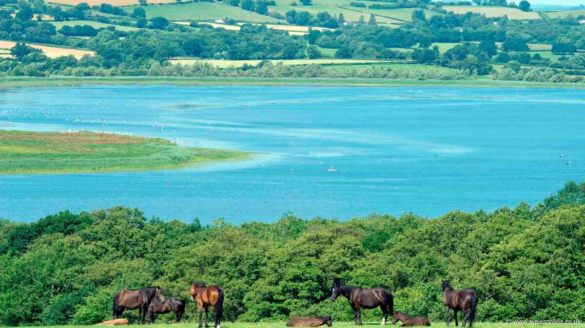 Warning issued to anyone visiting Llangorse Lake