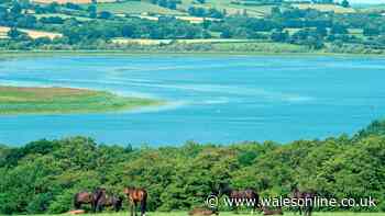 Warning issued to anyone visiting Llangorse Lake