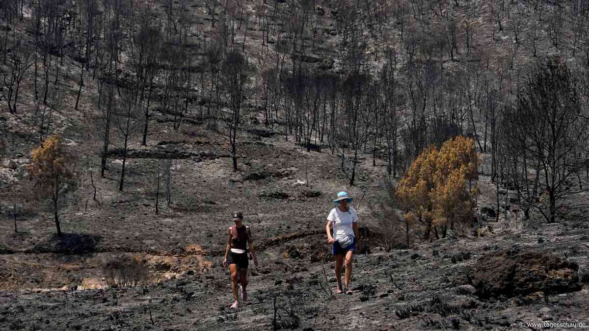 7.000 Hektar verbrannt und 13 Tote bei Waldbrand in Spanien
