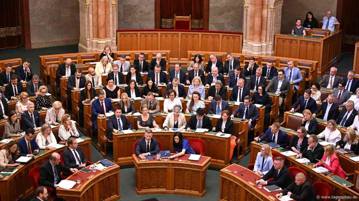 Ungarns Parlament stimmt für Absetzung von Staatspräsident Sulyok