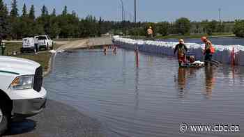 Assiniboine River appears to have crested in Brandon, mayor says