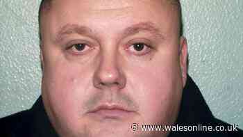 Levi Bellfield to give DNA sample after claiming he murdered mum and daughter