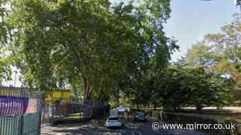 Murder investigation after man in his 20s stabbed to death near Hackney school
