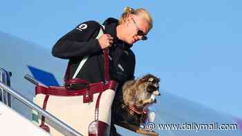 Erling Haaland returns to a hero's welcome - with a stuffed RACCOON as a taxidermy trophy - as Norway's team and fans take part in final Viking Row to toast best ever World Cup run