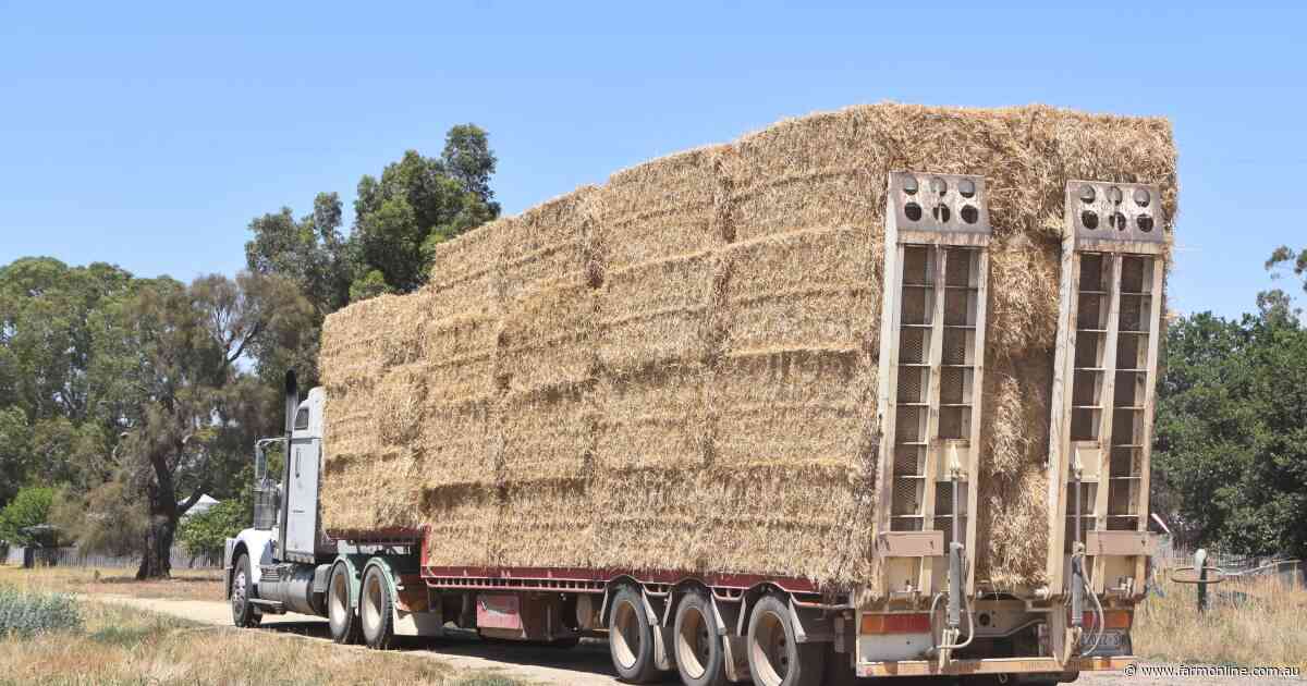 Fodder demand muted as end users wait for big new hay crop to come online