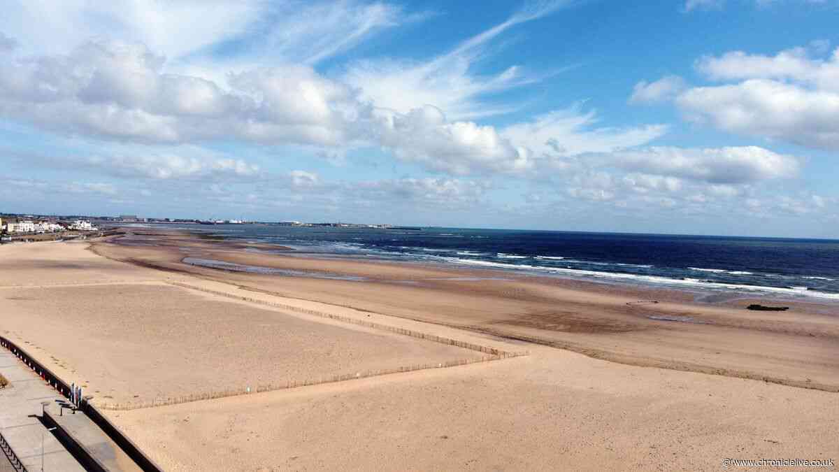 Double North East sea tragedy after dad tried to rescue his children and dog walker dies - key details