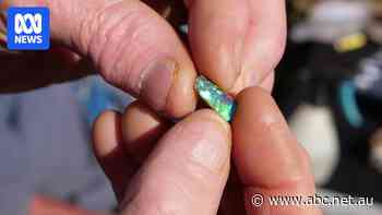 International buyers hit outback markets to hunt for Australia's best opals