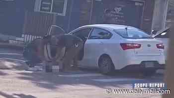 Horrifying new footage shows ICE agents HANDCUFF mortally wounded migrant, 26, as he flopped out of car after being shot in front of his toddler... as his haunting final words are revealed