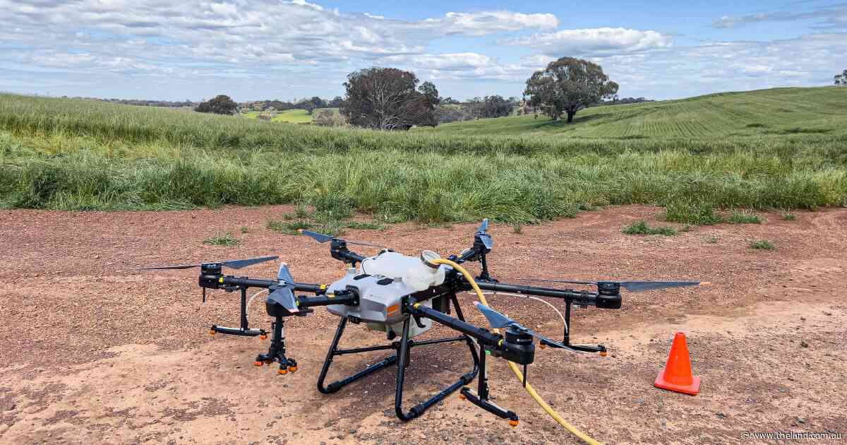Eyes in the sky: farmers lock up after 'concerning' increase in drone activity