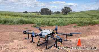 Eyes in the sky: farmers lock up after 'concerning' increase in drone activity