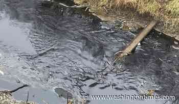 Oil pipeline's owner agrees to pay $26.9 million over Keystone spill in Kansas