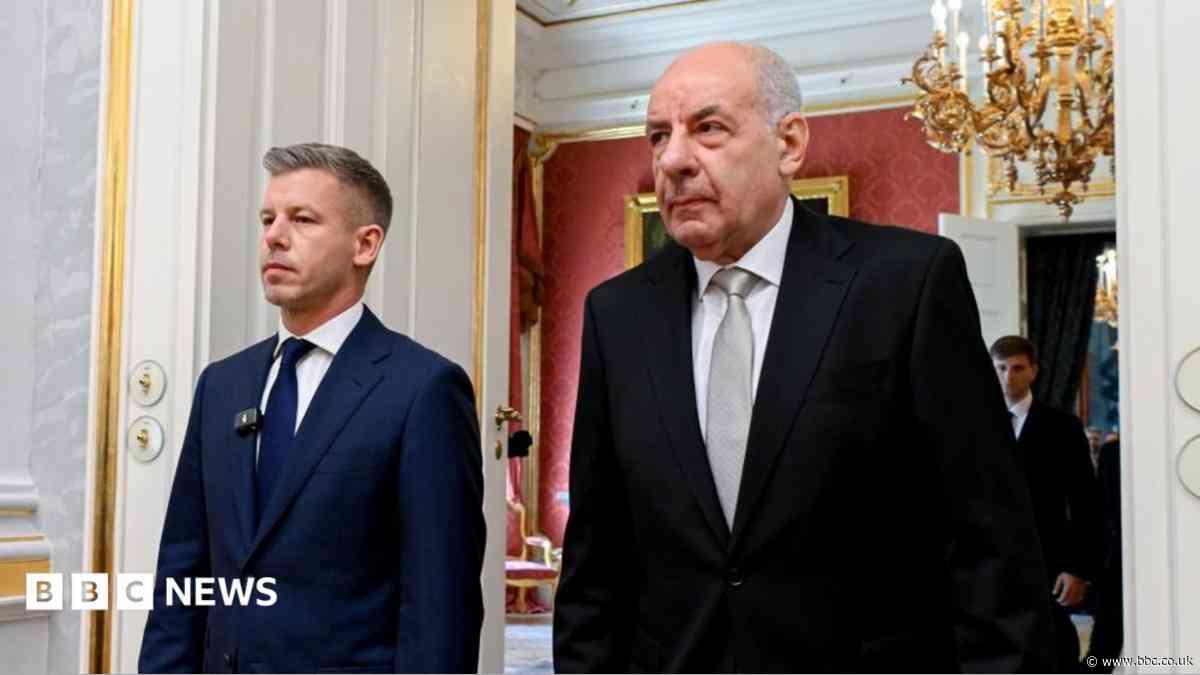 Hungary parliament votes to remove president from office
