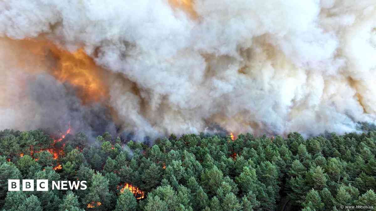Wildfire raging south of Paris could have been set deliberately, says minister