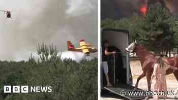 Watch: Horses evacuated as fire approaches riding centre near Paris