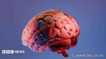 How Indian scientists are mapping the brain's last frontier