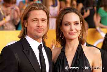 Four of Angelina Jolie's Children Cut Pitt' from Their Names — Here's Why