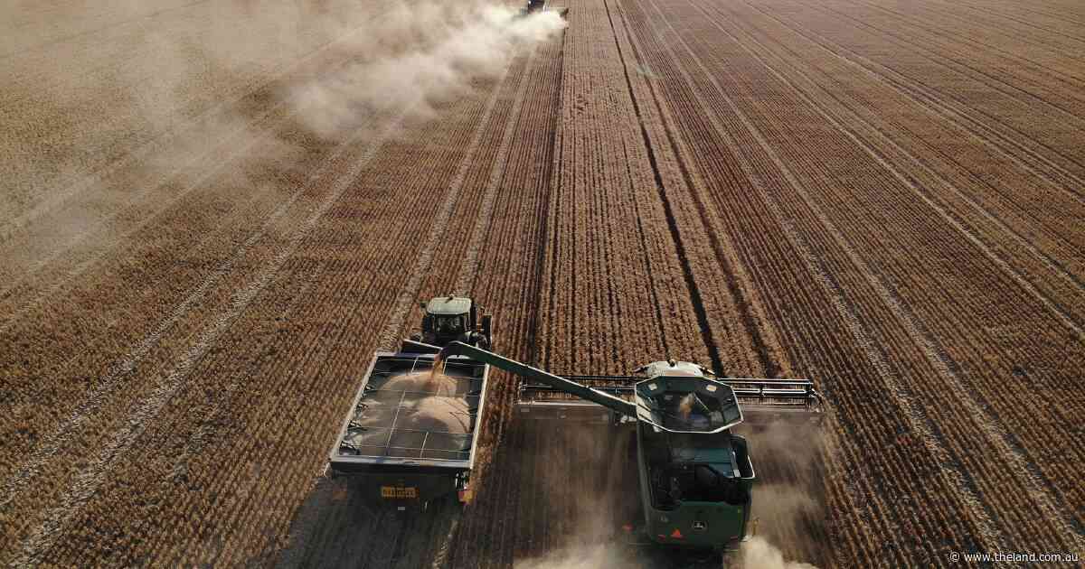 Riverina operations Cowl Cowl, Wyadra hit the market expecting $200m-plus