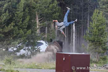 Family of Man Thrown 8 Feet in the Air By a Bison Shares a Health Update