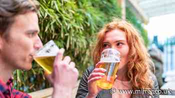 Forget boozy Brits - health conscious summer drinkers set to down 64million pints of 'no and low' beer