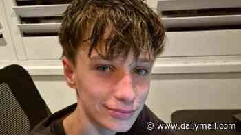 Fears grow for missing 15-year-old boy after he vanishes without a trace in Sydney