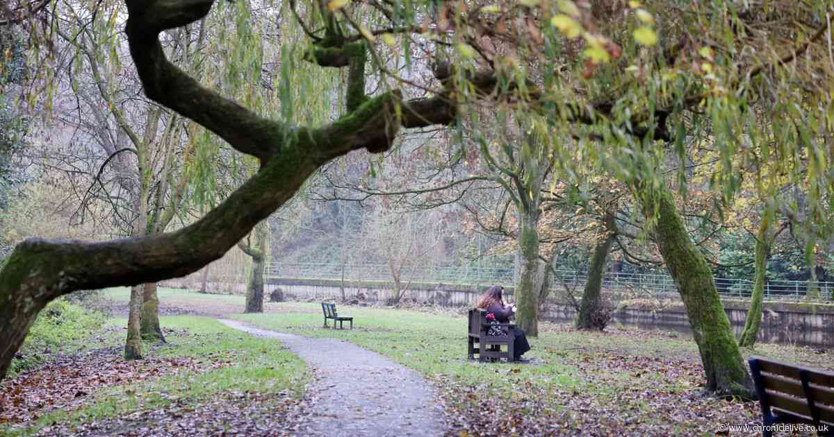 32 of the North East parks named among best in UK with Green Flag Awards