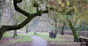 32 of the North East parks named among best in UK with Green Flag Awards