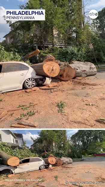 Downed trees fall onto roads and homes in Philadelphia