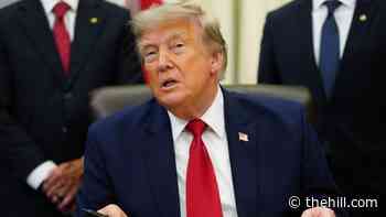 Trump wants Gulf countries on the hook for Strait of Hormuz 'protection'