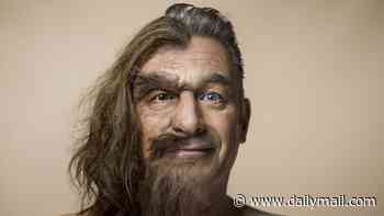 Spectacular graphics made this story of life on Earth absorbingly beautiful: CHRISTOPHER STEVENS reviews Evolution