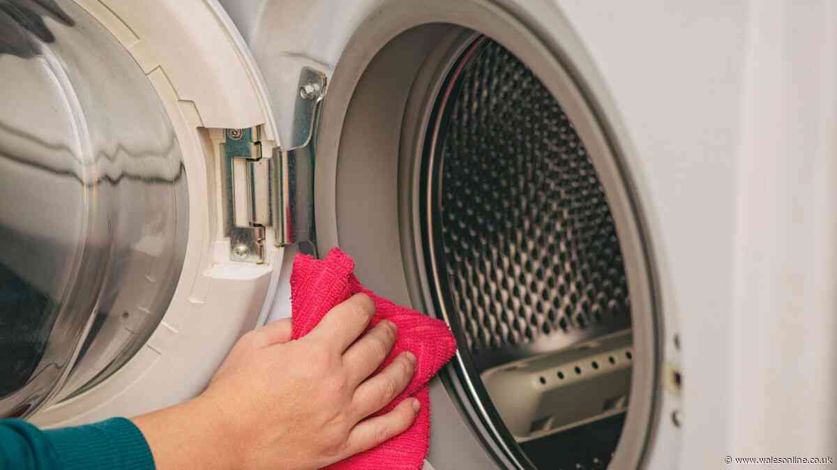 I tried 3 washing machine cleaners including Dettol - 1 worked best