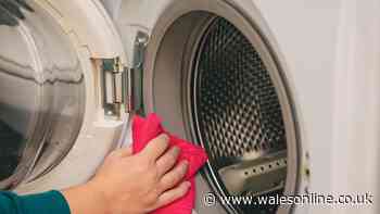 I tried 3 washing machine cleaners including Dettol - 1 worked best