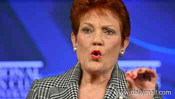 Australia warned it needs more immigration to cope with future problem: 'It's going to be very hard to turn around'