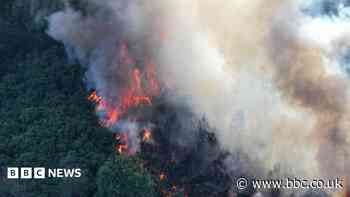 Severe wildfire warnings issued in the South East