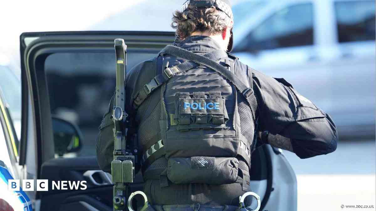 Armed police arrest man over threats to woman