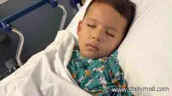 Colorado parents left reeling after young son dies from rare disease on family vacation