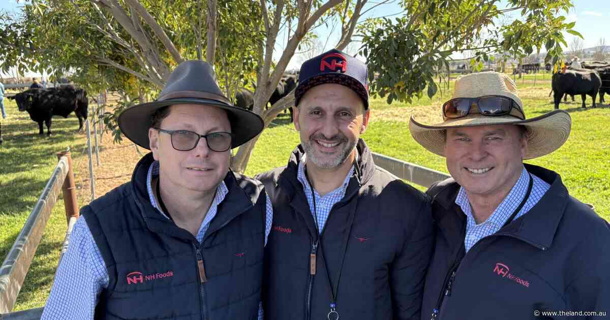 'Grow the story': the brand commitment behind a booming beef market
